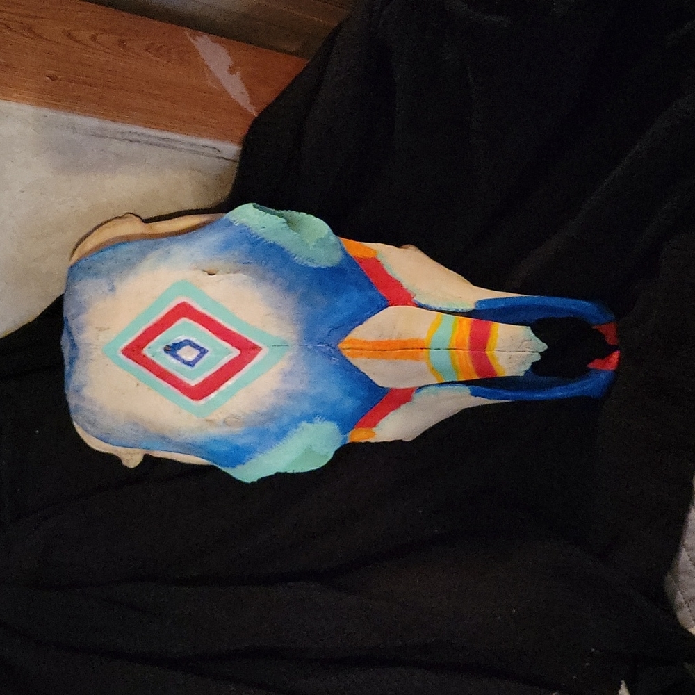 Hand paint cow skull